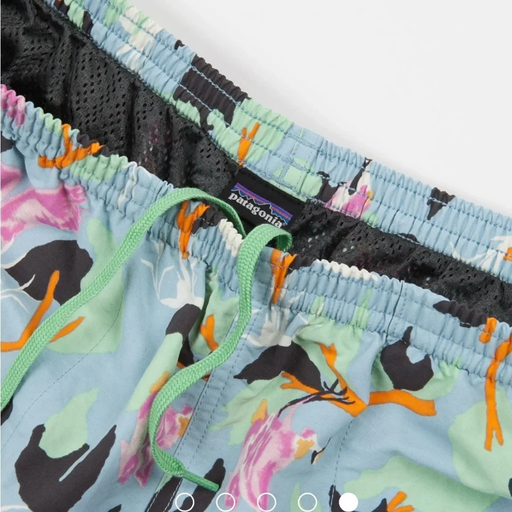PATAGONIA BAGGIES LONG 7” SHORTS SPOONBILLS BIG BLUE SKY